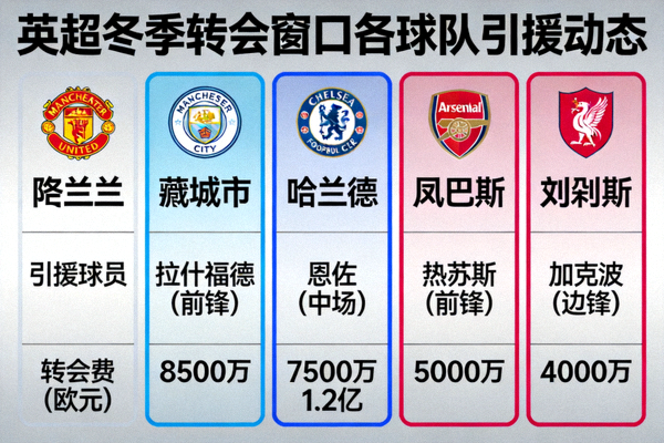 英超冬季转会窗口各球队引援动态